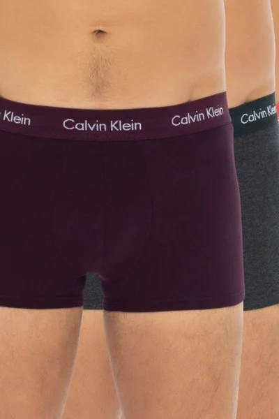 Pánské boxerky 3 pack   mix barev - Calvin Klein