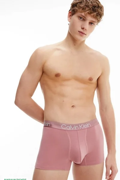 Pánské boxerky s ikonickým pasem - Calvin Klein (3 ks)