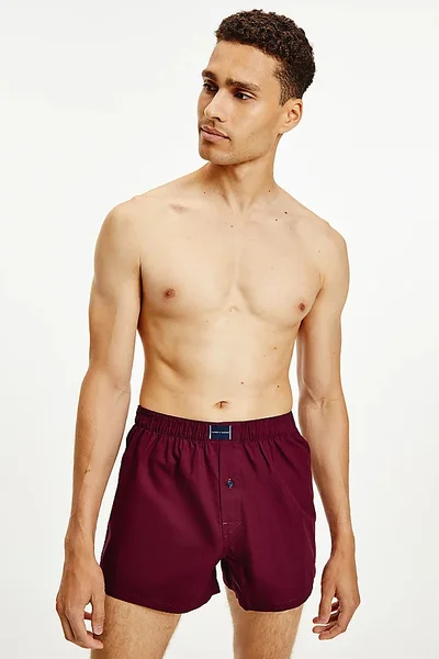 Pánské boxerky 2 pack - 0SD - Modrá, bordo - Tommy Hilfiger modrá a červená