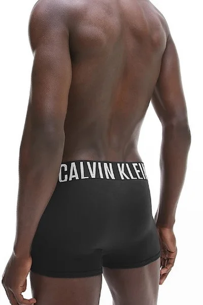 Pánské trenýrky 2pack 1SR - černámodrá - Calvin Klein