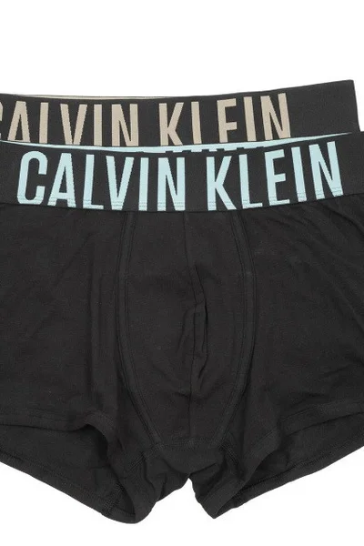 Pánské boxerky 2pack   v černé barvě - Calvin Klein