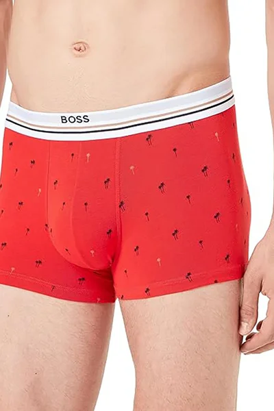 Pánské boxerky BOSS - elegantní komfort v dárkové krabičce Hugo Boss