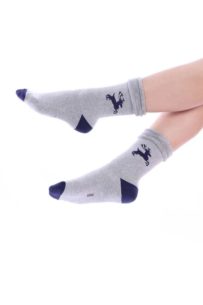 Dámské hřejivé ponožky Magic time v šedé barvě se sobem Moraj
