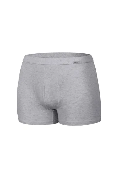 Pánské boxerky Authentic mini v šedé barvě - Cornette