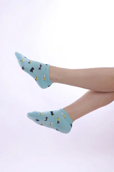Kotníkové ponožky Cats v modré barvě s kočičím vzorem od Moraj