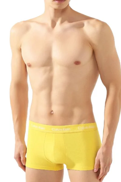 Pánské boxerky Pride Trunk - vícebarevné - 5 párů - Calvin Klein