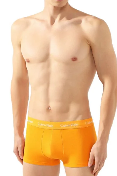 Pánské boxerky Pride Trunk - vícebarevné - 5 párů - Calvin Klein