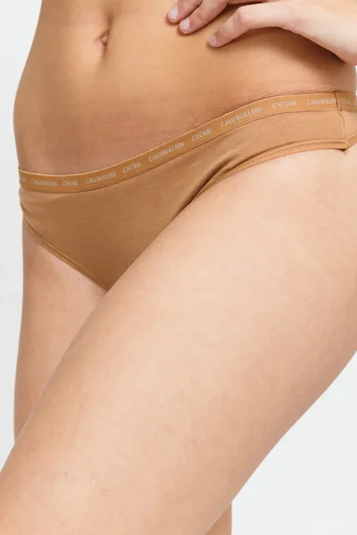 Dámské tanga 2pack - W5K - Hnědá - Calvin Klein