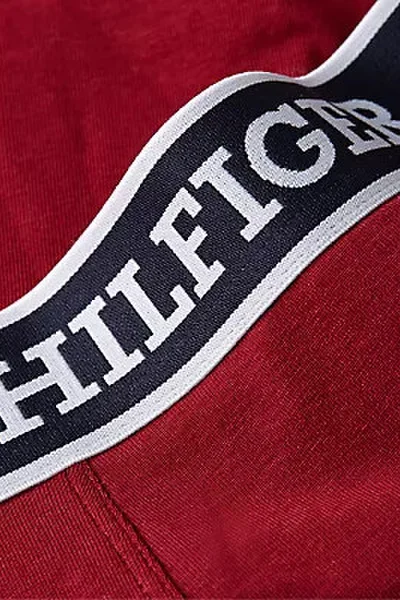 Trojbalení pánských boxerek Tommy Hilfiger - modré a vínové