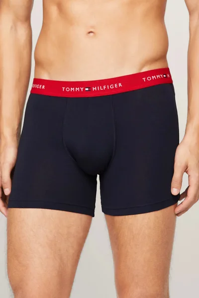 Černé pánské boxerky s páskem Tommy Hilfiger v balení