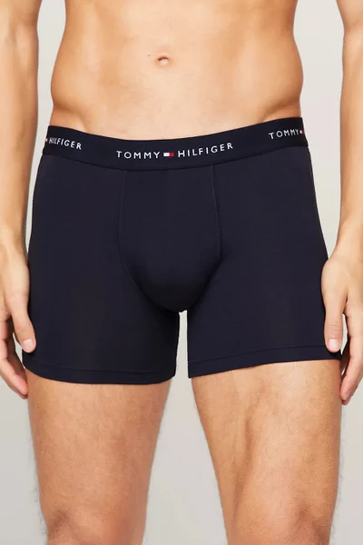 Černé pánské boxerky s páskem Tommy Hilfiger v balení