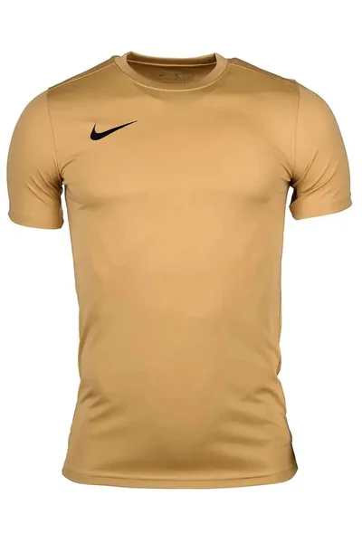 Pánské tréninkové tričko NIKE Dri-FIT Park