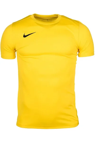 Pánské tréninkové tričko NIKE Dri-FIT Park