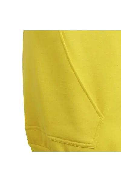 Dětská  mikina Entrada Hoody Y Jr - Adidas Žlutá
