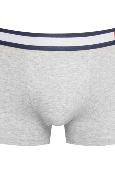 Pánské bavlněné boxerky s logem Tommy Hilfiger