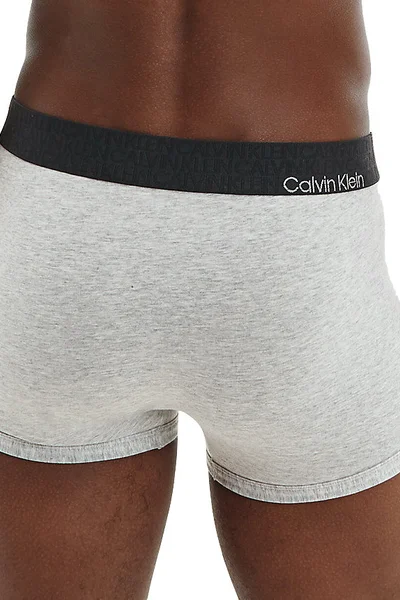 Pánské komfortní boxerky Calvin Klein s logem