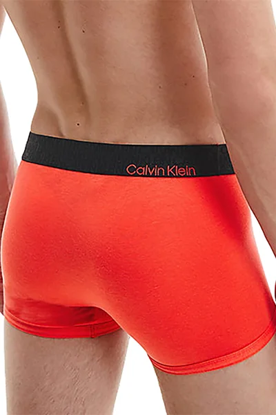 Pohodlné pánské boxerky Calvin Klein s logem