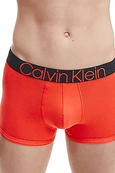 Pohodlné pánské boxerky Calvin Klein s logem