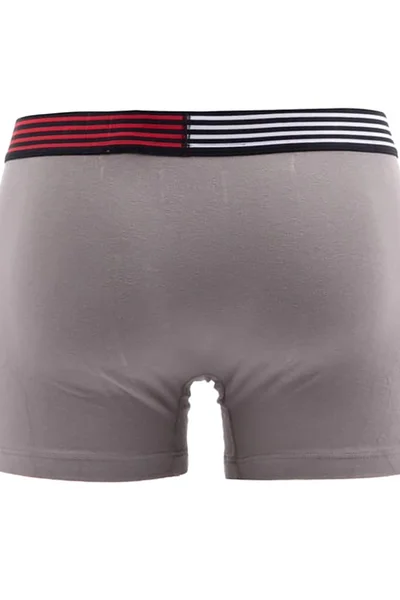 Pánské elastické boxerky Tommy Hilfiger