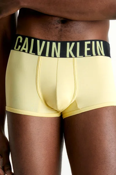 Calvin Klein Pánské Boxerky Micro Pack – 2ks