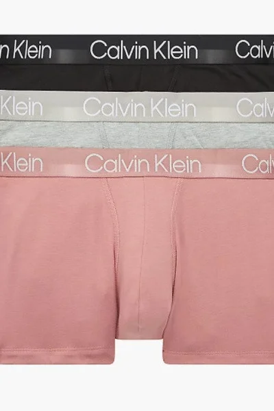 Pánské boxerky s ikonickým pasem - Calvin Klein (3 ks)