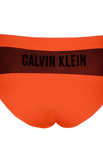 Calvin Klein Dámské Bikiny se Síťkou - Spodní díl