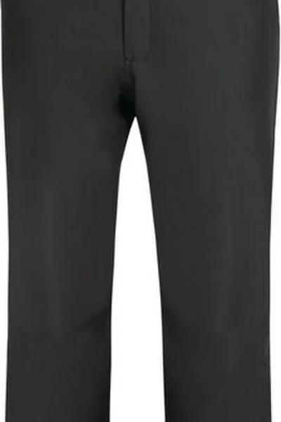 Lyžařské kalhoty pro pány Dare2B REAM - černé - nepromokavé a prodyšné